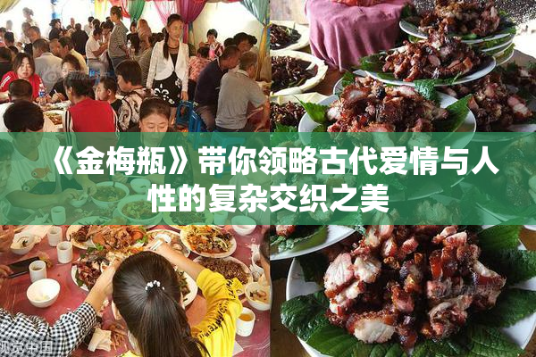 《金梅瓶》带你领略古代爱情与人性的复杂交织之美