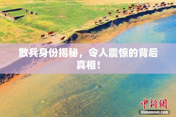 散兵身份揭秘，令人震惊的背后真相！