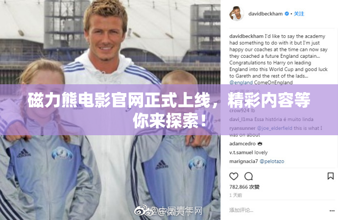 磁力熊电影官网正式上线，精彩内容等你来探索！