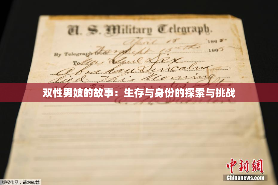 双性男妓的故事：生存与身份的探索与挑战