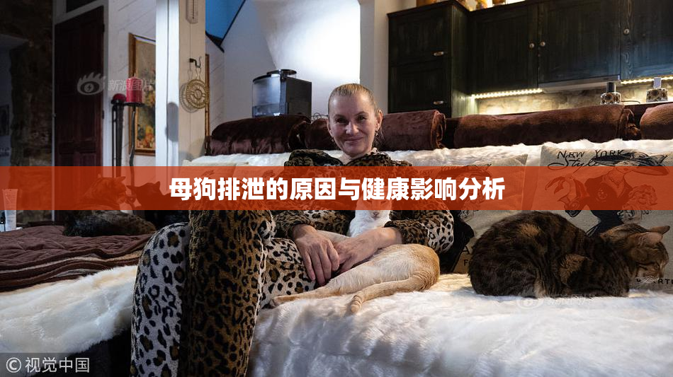 母狗排泄的原因与健康影响分析