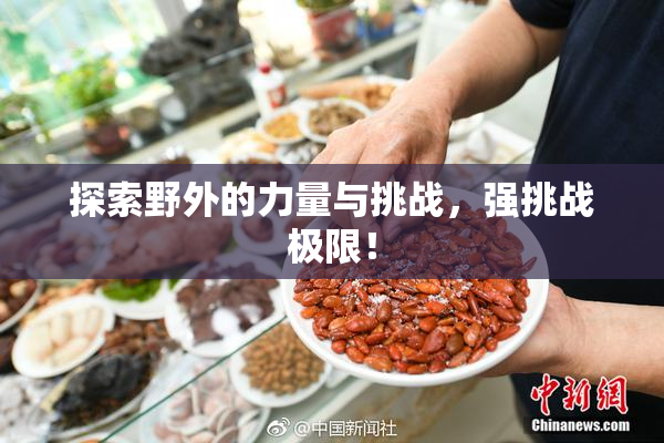 探索野外的力量与挑战，强挑战极限！