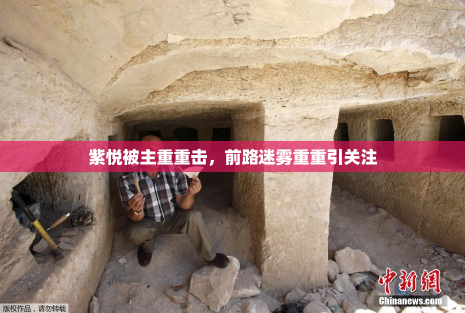 紫悦被主重重击，前路迷雾重重引关注