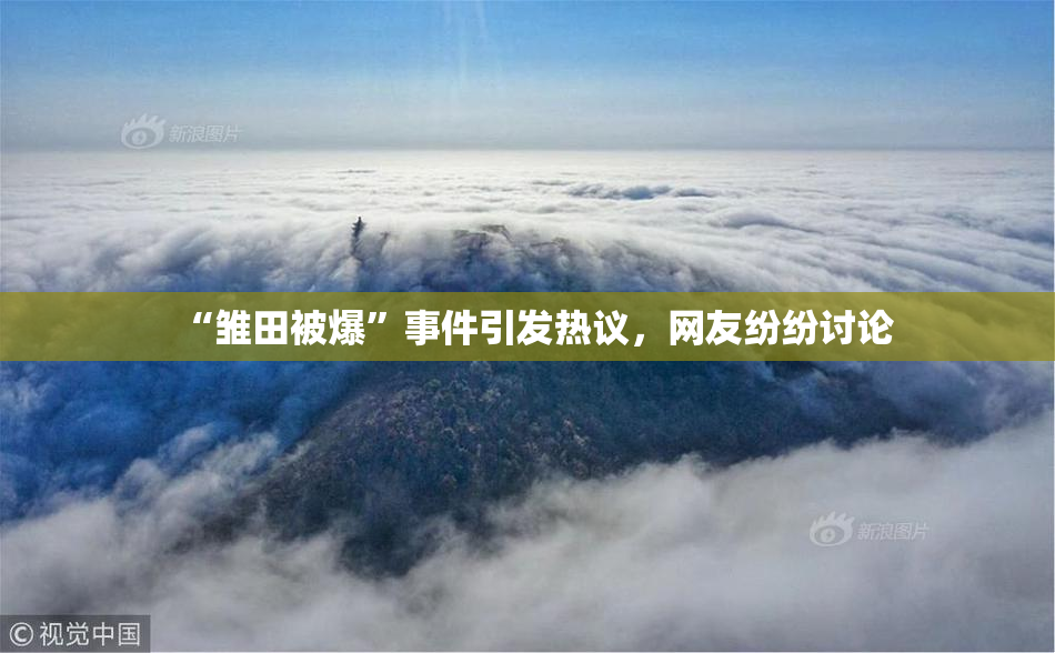 “雏田被爆”事件引发热议，网友纷纷讨论
