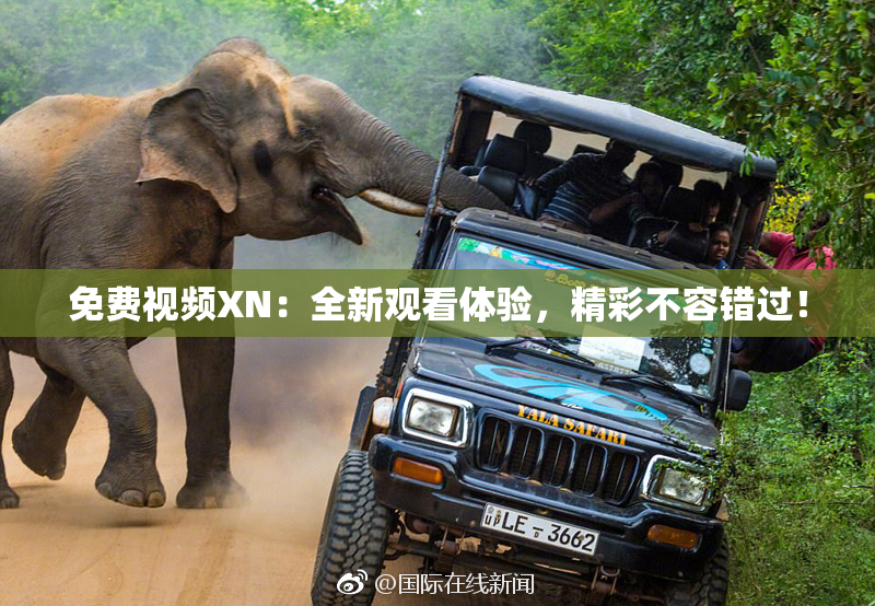 免费视频XN：全新观看体验，精彩不容错过！