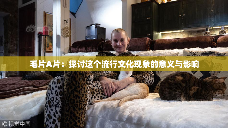 毛片A片：探讨这个流行文化现象的意义与影响