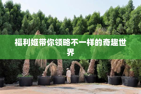 福利姬带你领略不一样的奇趣世界