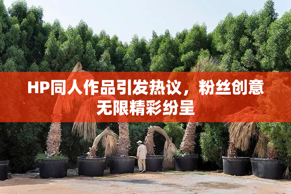 HP同人作品引发热议，粉丝创意无限精彩纷呈