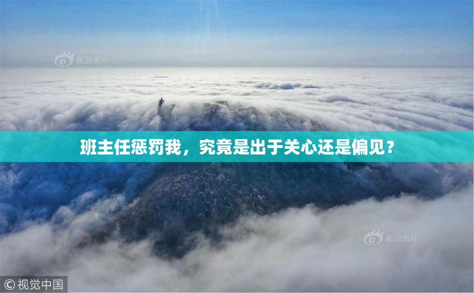 班主任惩罚我，究竟是出于关心还是偏见？