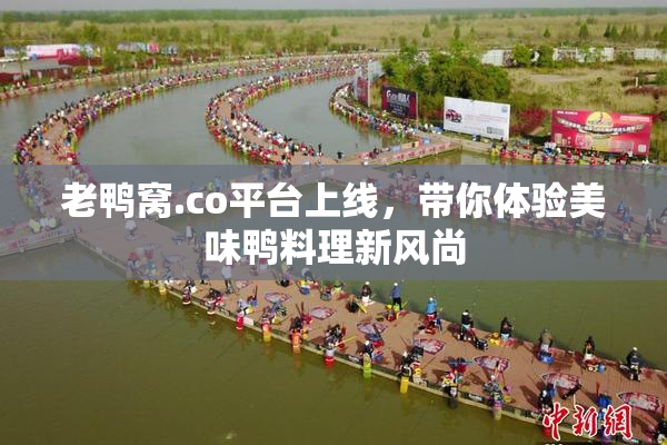 老鸭窝.co平台上线，带你体验美味鸭料理新风尚