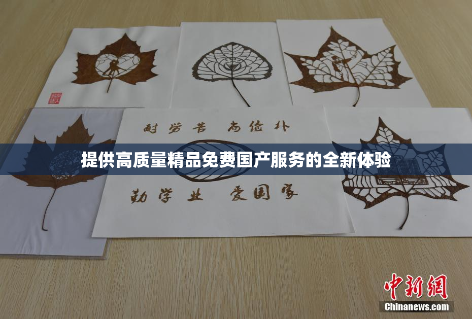 提供高质量精品免费国产服务的全新体验