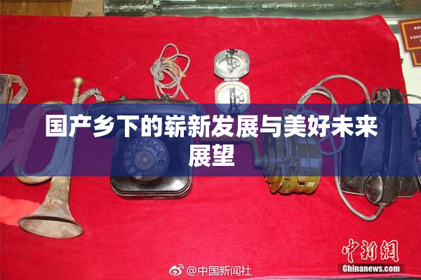 国产乡下的崭新发展与美好未来展望