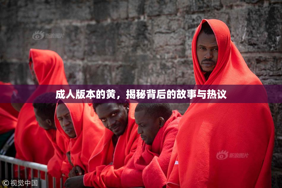 成人版本的黄，揭秘背后的故事与热议
