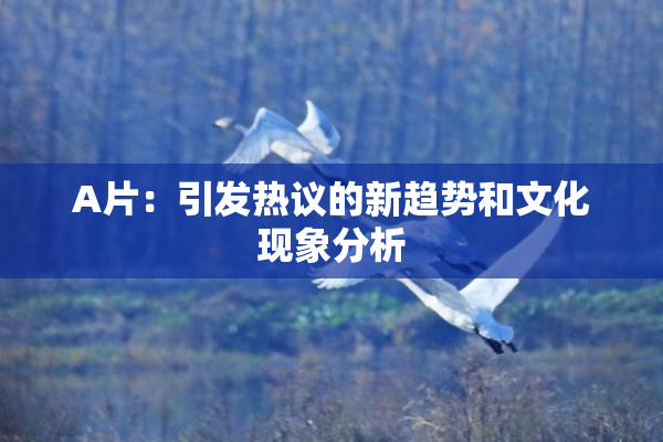 A片：引发热议的新趋势和文化现象分析