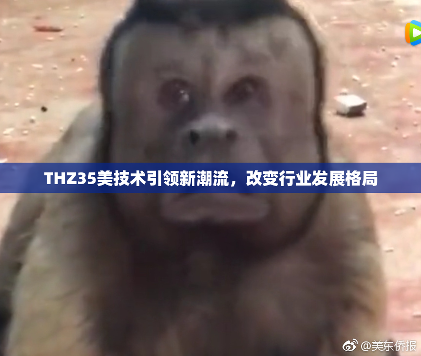 THZ35美技术引领新潮流，改变行业发展格局