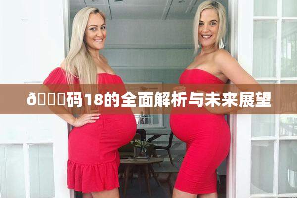 🈚码18的全面解析与未来展望