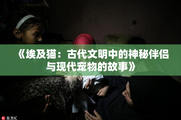 《埃及猫：古代文明中的神秘伴侣与现代宠物的故事》