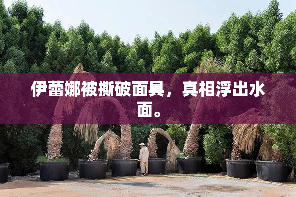 伊蕾娜被撕破面具，真相浮出水面。