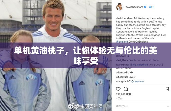 单机黄油桃子，让你体验无与伦比的美味享受