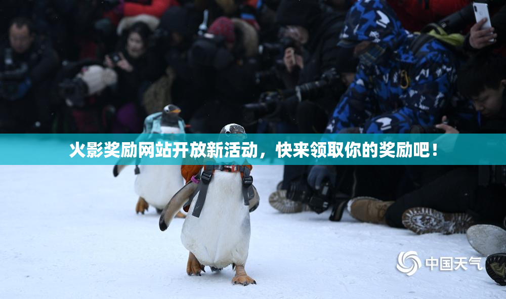 火影奖励网站开放新活动，快来领取你的奖励吧！