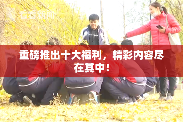 重磅推出十大福利，精彩内容尽在其中！