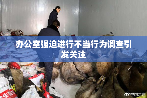 办公室强迫进行不当行为调查引发关注