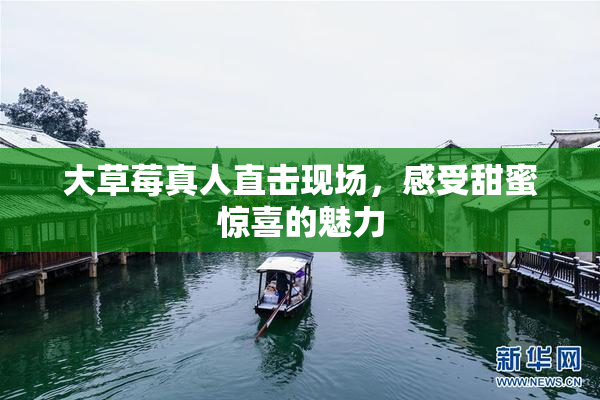 大草莓真人直击现场，感受甜蜜惊喜的魅力
