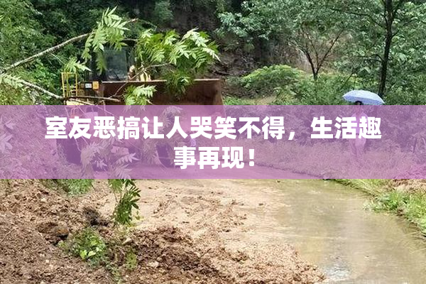 室友恶搞让人哭笑不得，生活趣事再现！