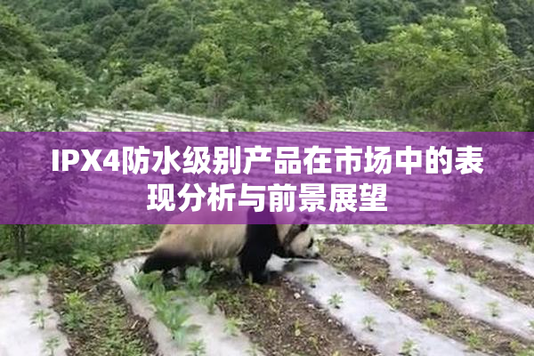 IPX4防水级别产品在市场中的表现分析与前景展望