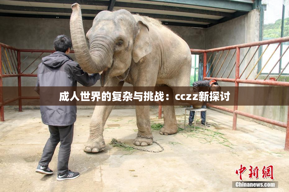 成人世界的复杂与挑战：cczz新探讨