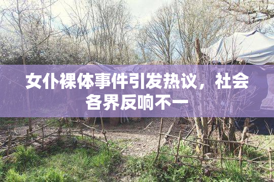 女仆裸体事件引发热议，社会各界反响不一