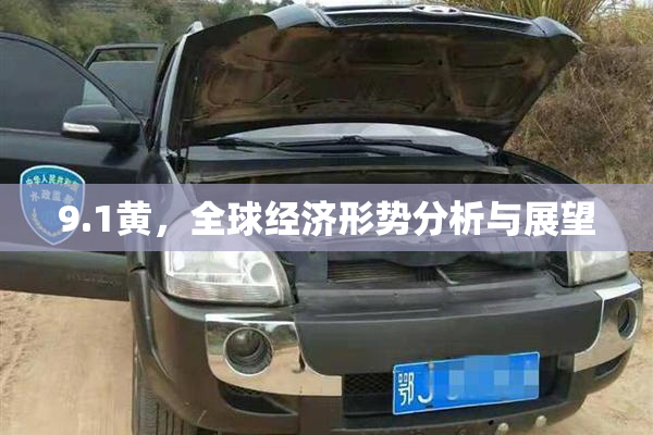 9.1黄，全球经济形势分析与展望