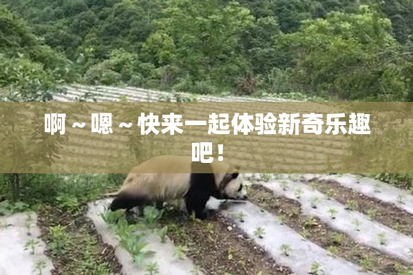 啊～嗯～快来一起体验新奇乐趣吧！