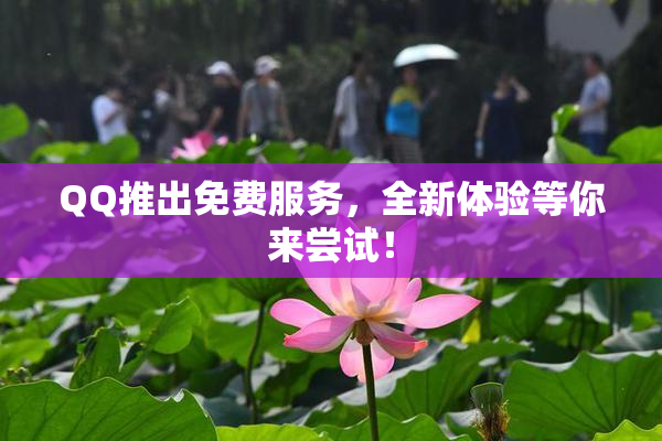 QQ推出免费服务，全新体验等你来尝试！