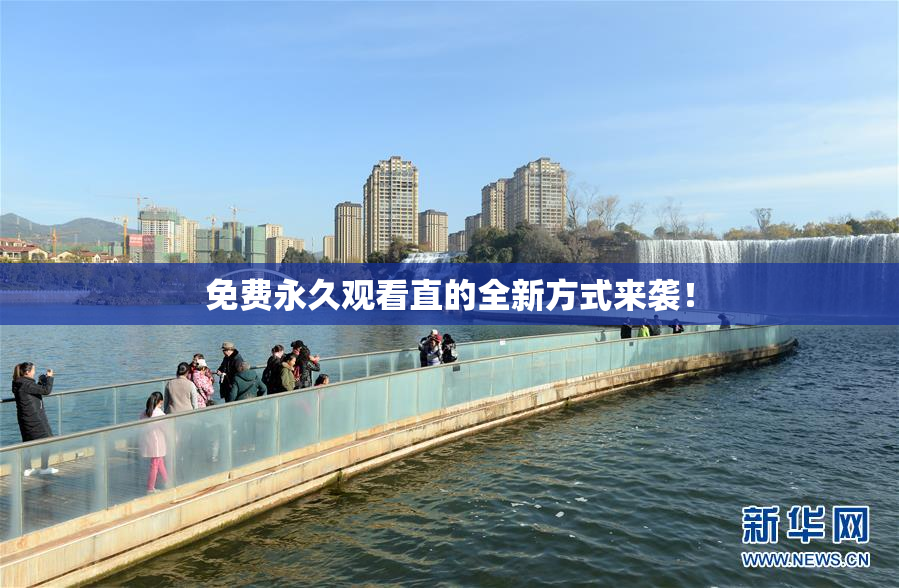 免费永久观看直的全新方式来袭！