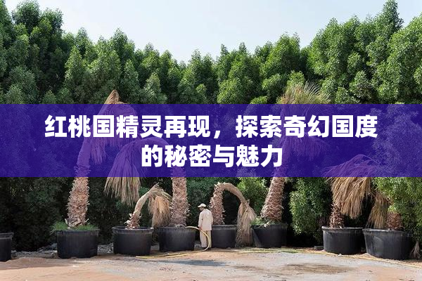 红桃国精灵再现，探索奇幻国度的秘密与魅力