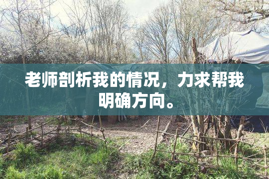 老师剖析我的情况，力求帮我明确方向。