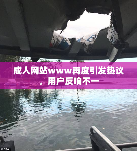 成人网站www再度引发热议，用户反响不一