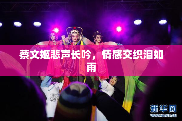 蔡文姬悲声长吟，情感交织泪如雨