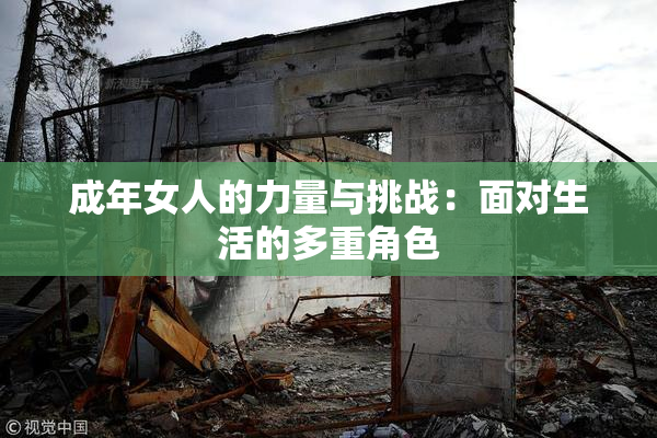 成年女人的力量与挑战：面对生活的多重角色