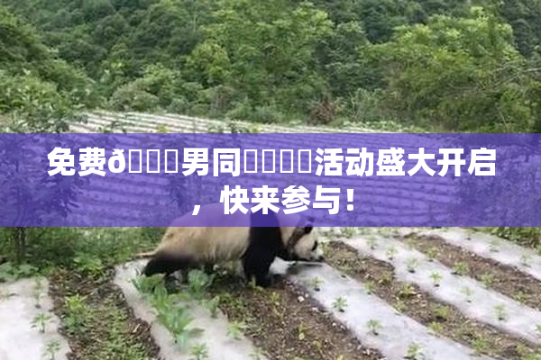 免费🔞男同❌‌❌‌活动盛大开启，快来参与！