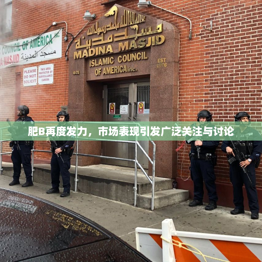 肥B再度发力，市场表现引发广泛关注与讨论