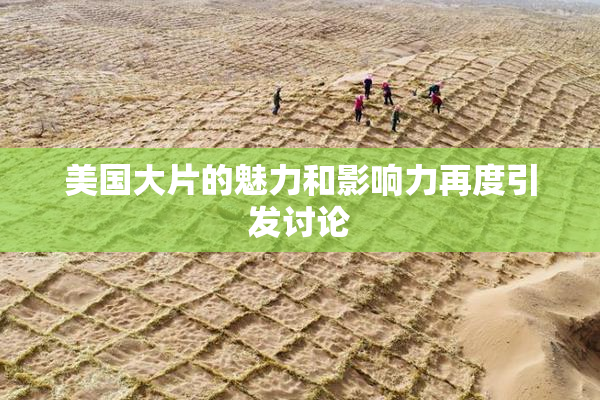 美国大片的魅力和影响力再度引发讨论