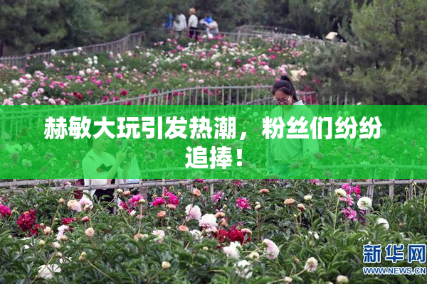 赫敏大玩引发热潮，粉丝们纷纷追捧！