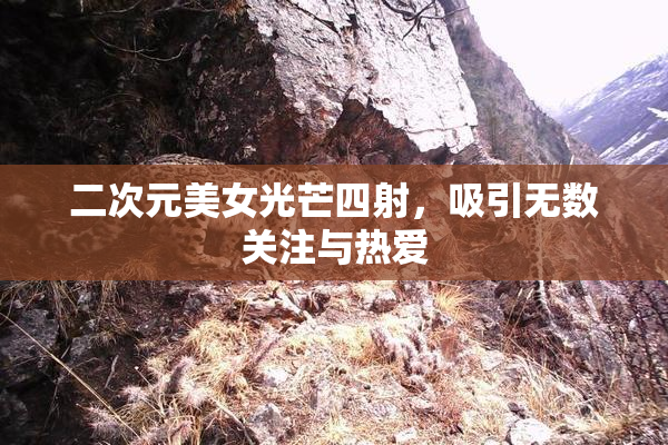 二次元美女光芒四射，吸引无数关注与热爱