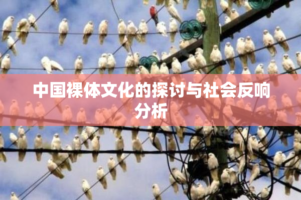 中国裸体文化的探讨与社会反响分析