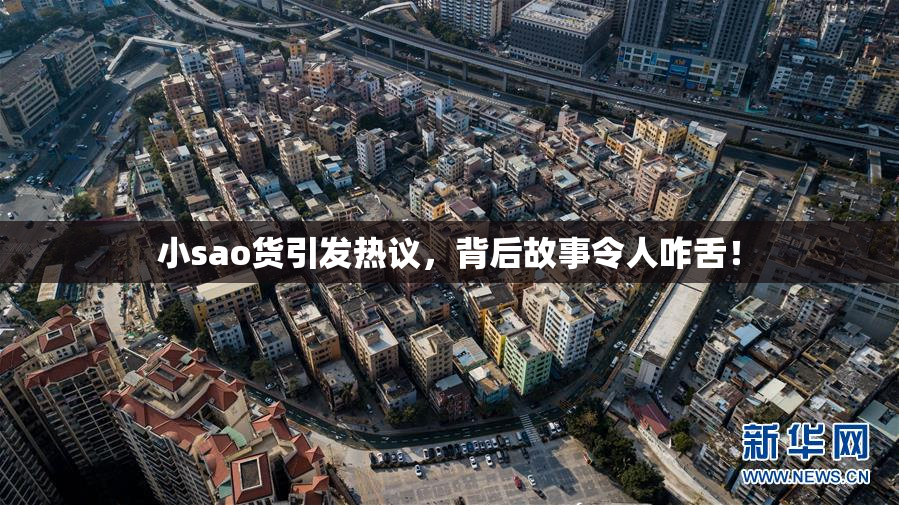 小sao货引发热议，背后故事令人咋舌！