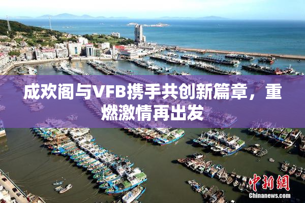 成欢阁与VFB携手共创新篇章，重燃激情再出发