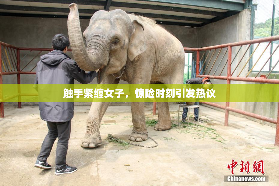 触手紧缠女子，惊险时刻引发热议