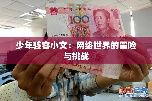 少年骇客小文：网络世界的冒险与挑战